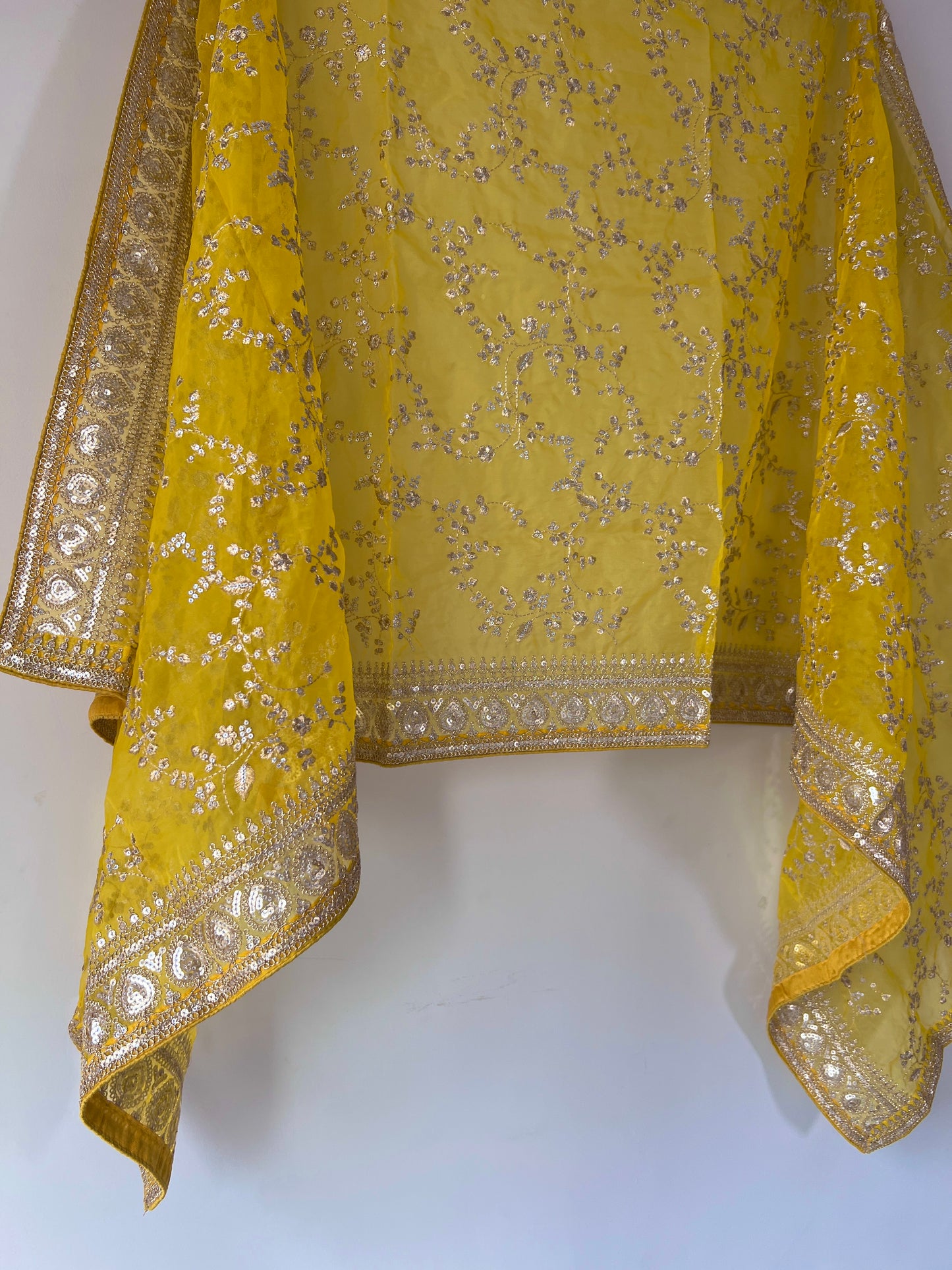 Yellow Organza Sabyasachi concept dupatta with all over embroidery