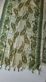 Green Printed Pashmina Unstitched suit set