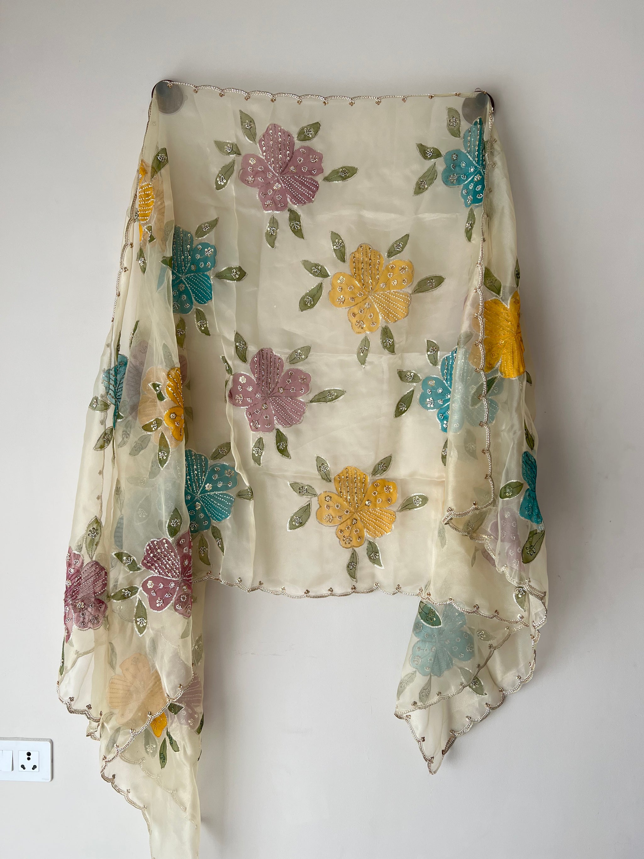 Organza shimmer Dupatta with embroidery