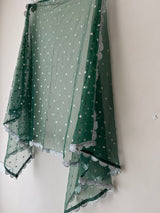 Green Net dupatta with scallop Silver border