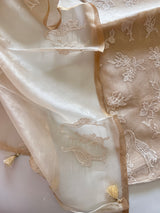 Beige Pure Organza with Swan embroidery Un-stitched Suit set