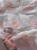 Organza Fabric with sequin work