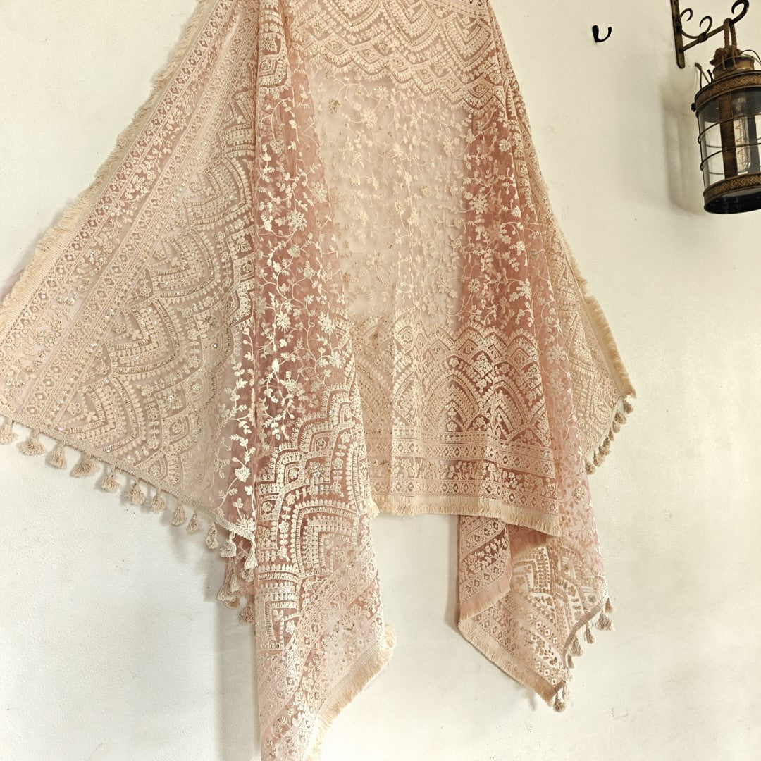 Lucknowi Net dupatta.