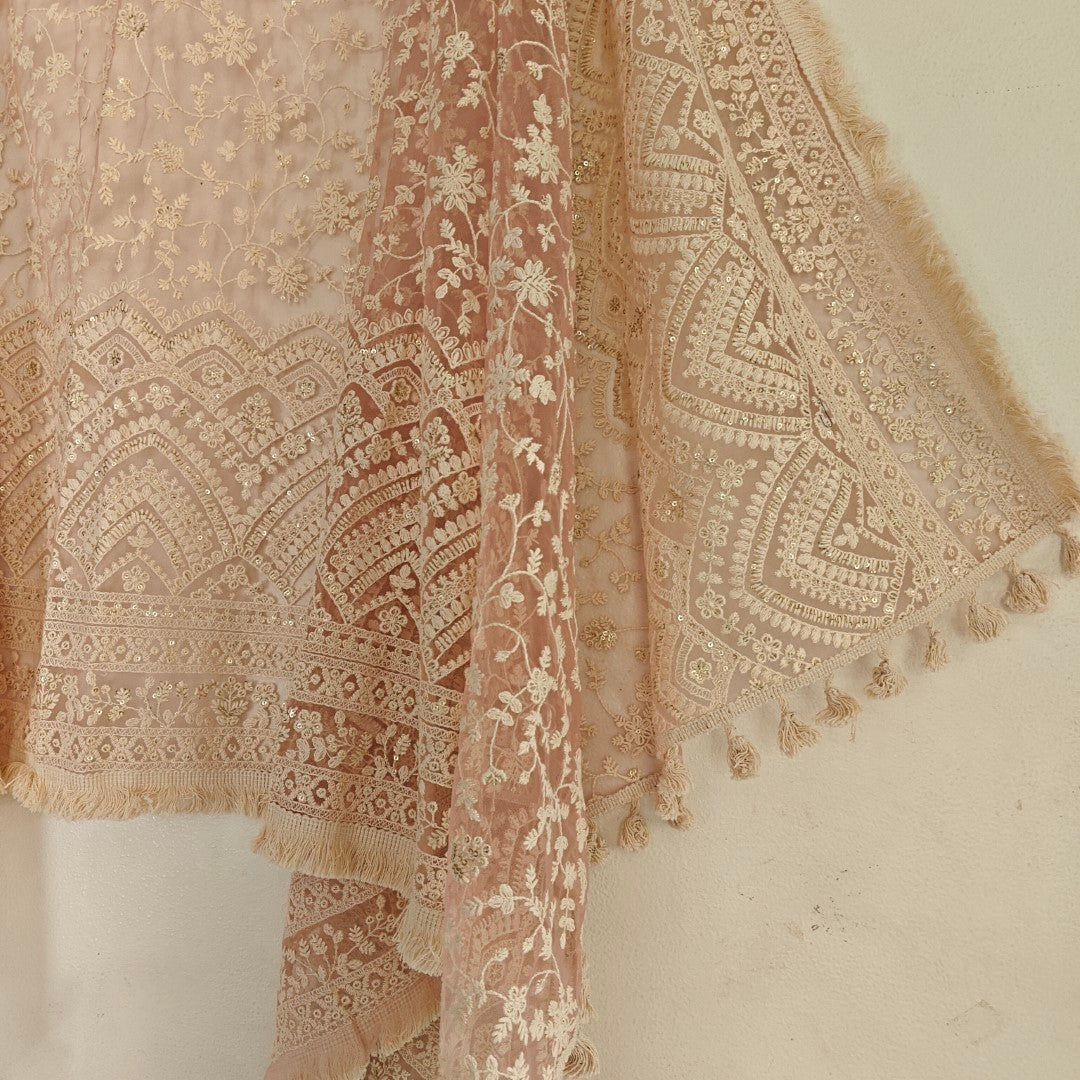 Lucknowi Net dupatta.