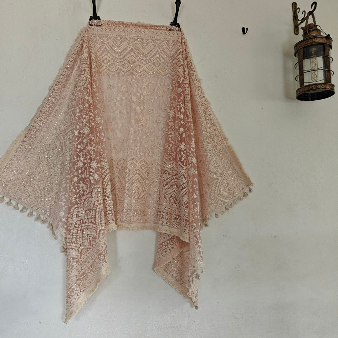 Lucknowi Net dupatta.