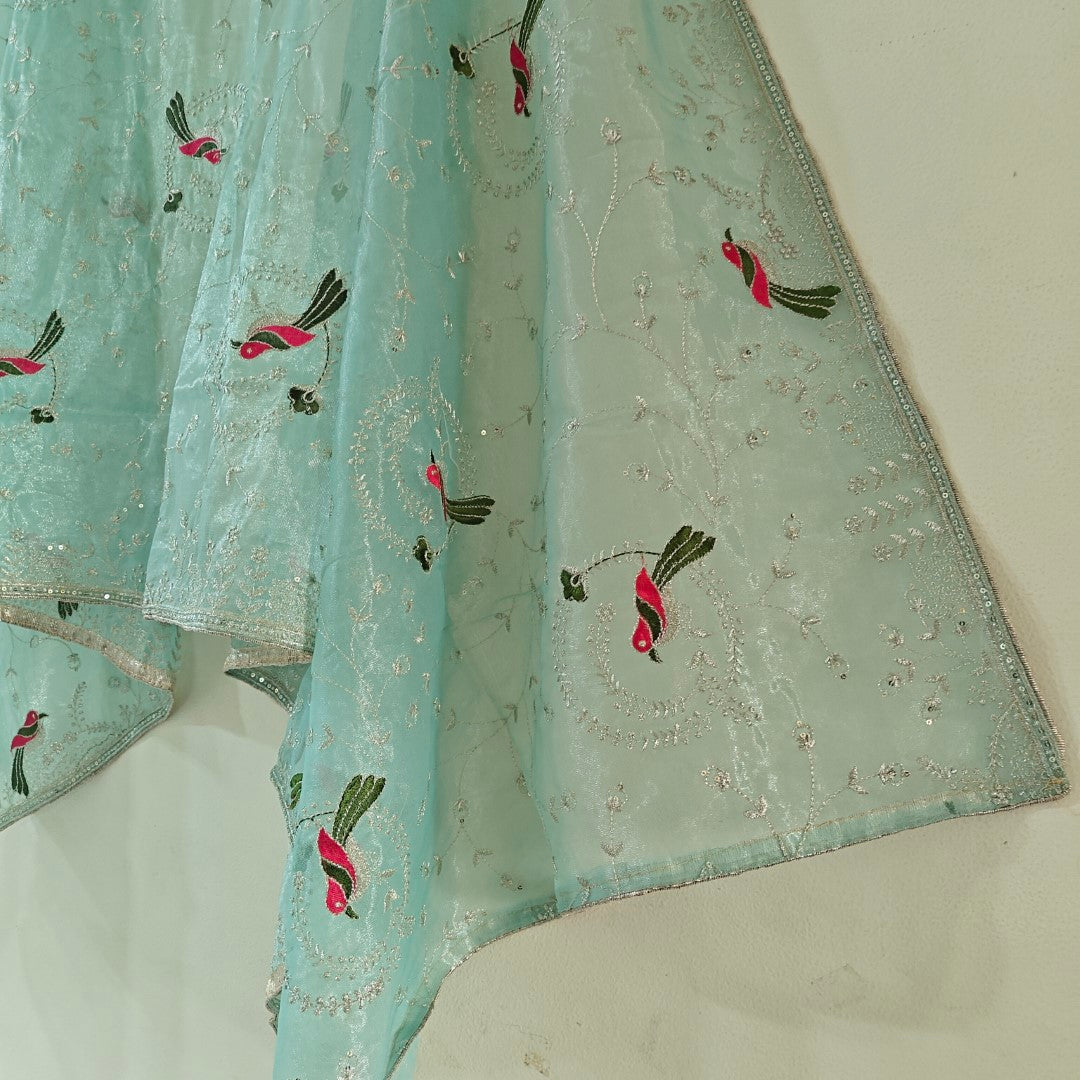 Blue green dupatta
Organza dupatta