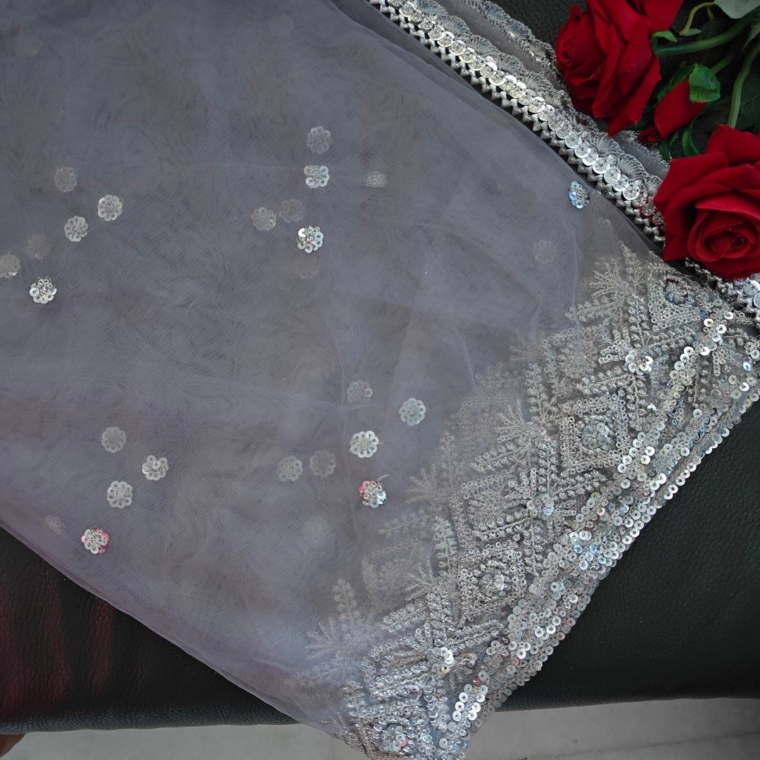 Grey SIlver Net dupatta