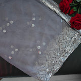 Grey SIlver Net dupatta