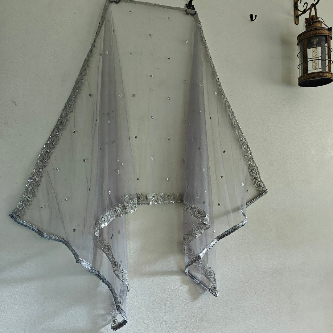 Grey SIlver Net dupatta