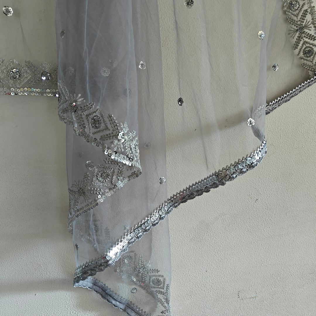 Grey SIlver Net dupatta