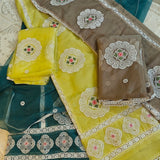 Tissue Dress material with embroidery