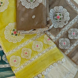 Tissue Dress material with embroidery