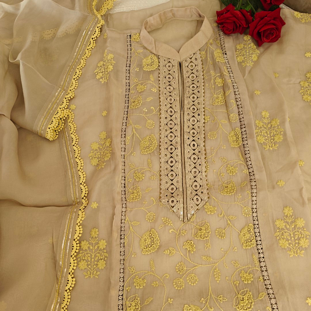 Chikku Organza with yellow embroidery dress material