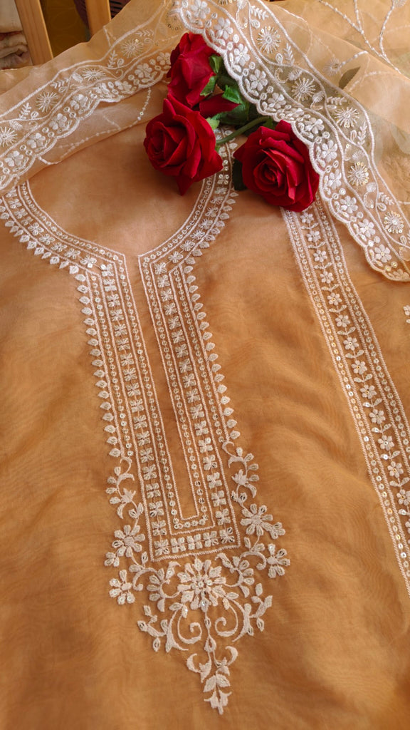 Embroidered Organza tissue dress material