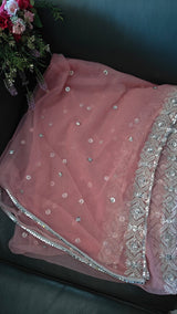 Dusty Pink SIlver Net dupatta