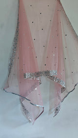 Dusty Pink SIlver Net dupatta