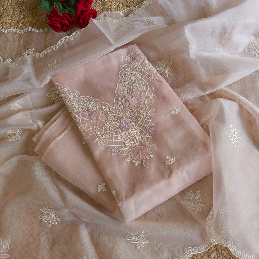 Parsi Embroidery light Mauve Pure Organza suit