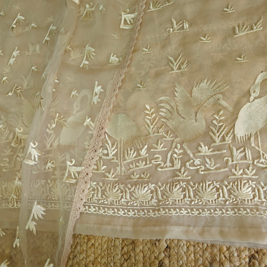 Parsi embroidery Pure Organza with Flamingo Dress material