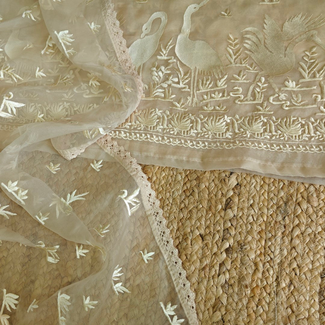 Parsi embroidery Pure Organza with Flamingo Dress material