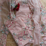 Pink Organza colorful Flamingo embroidery Dress material Unstitched Suit