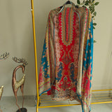 Pakistani Print with embroidery.