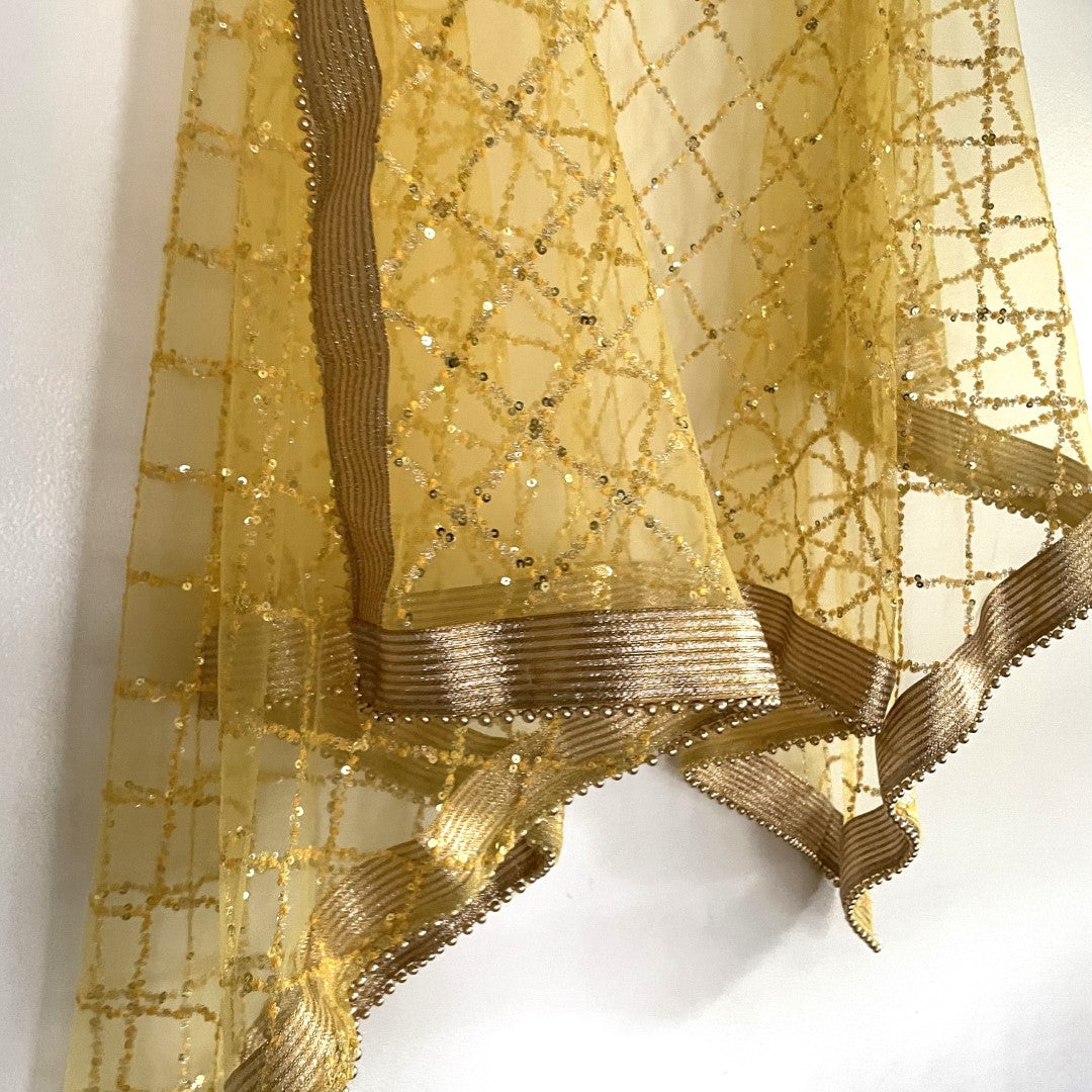 Yellow Net Double border embroidery Dupatta