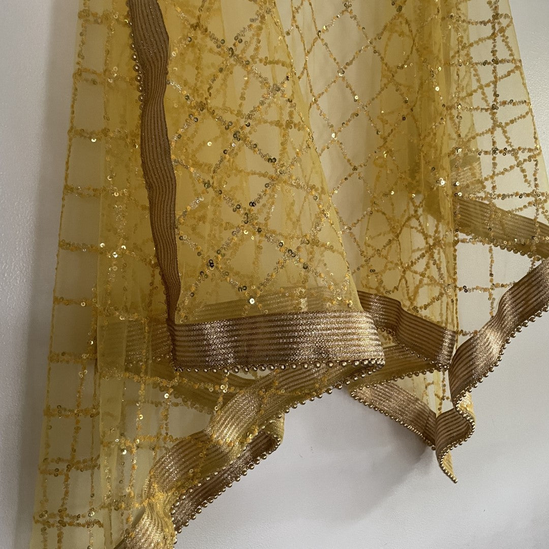 Yellow Net Double border embroidery Dupatta