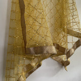 Yellow Net Double border embroidery Dupatta