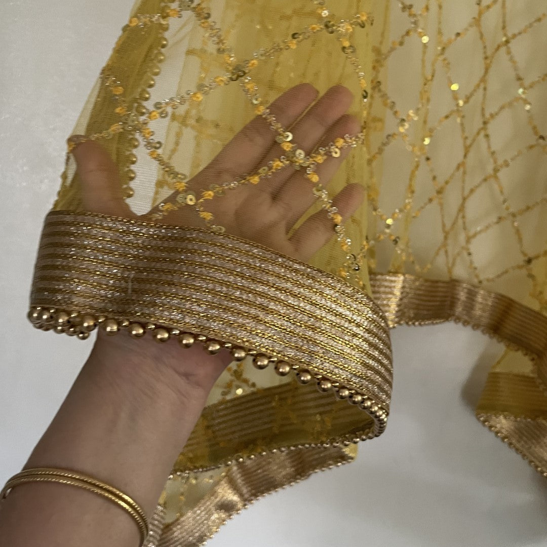 Yellow Net Double border embroidery Dupatta