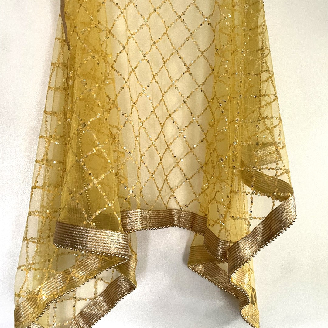 Yellow Net Double border embroidery Dupatta