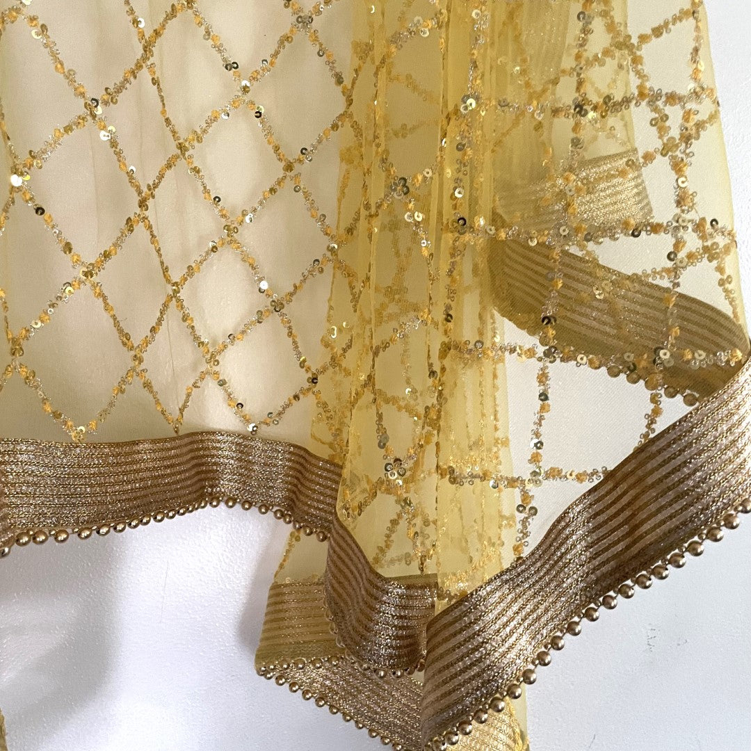 Yellow Net Double border embroidery Dupatta