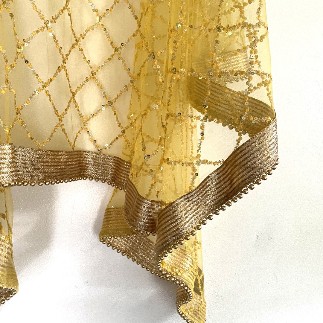 Yellow Net Double border embroidery Dupatta