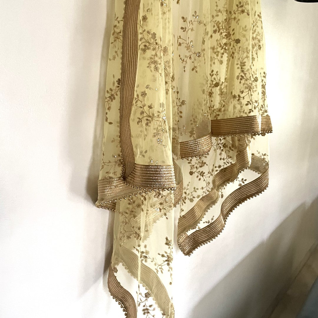 Pastel Yellow Net beaded border dupatta