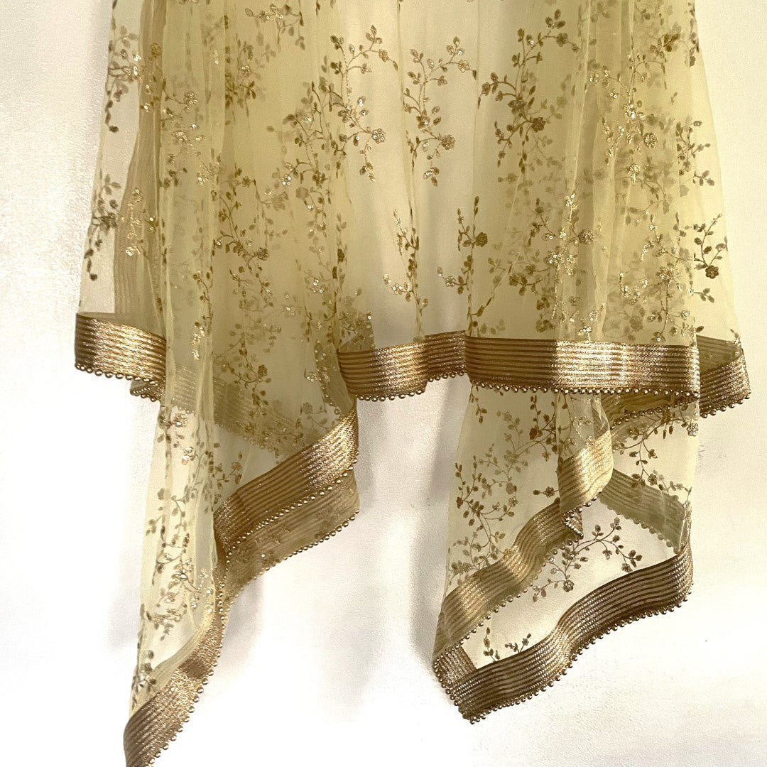 Pastel Yellow Net beaded border dupatta