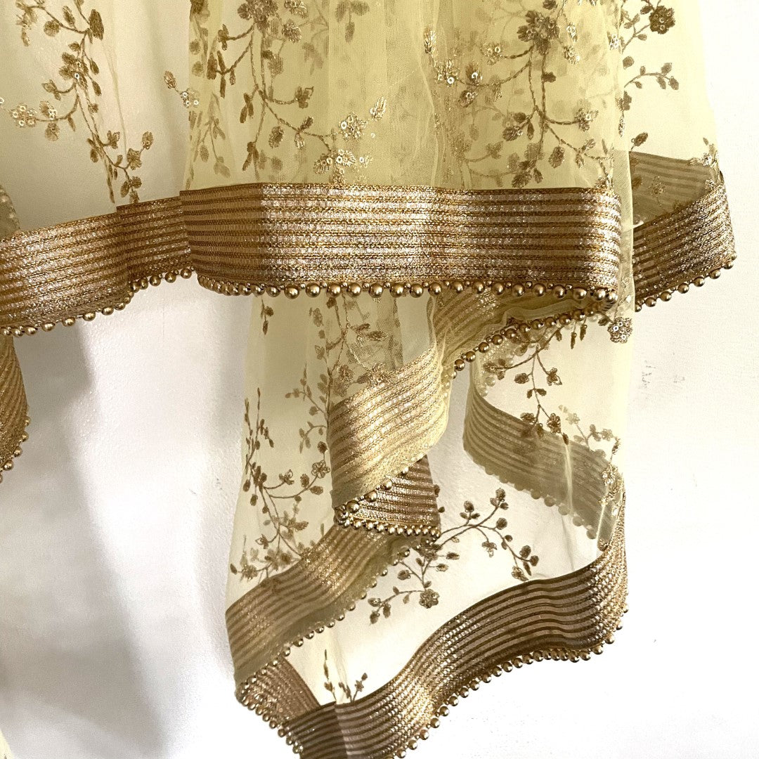 Pastel Yellow Net beaded border dupatta