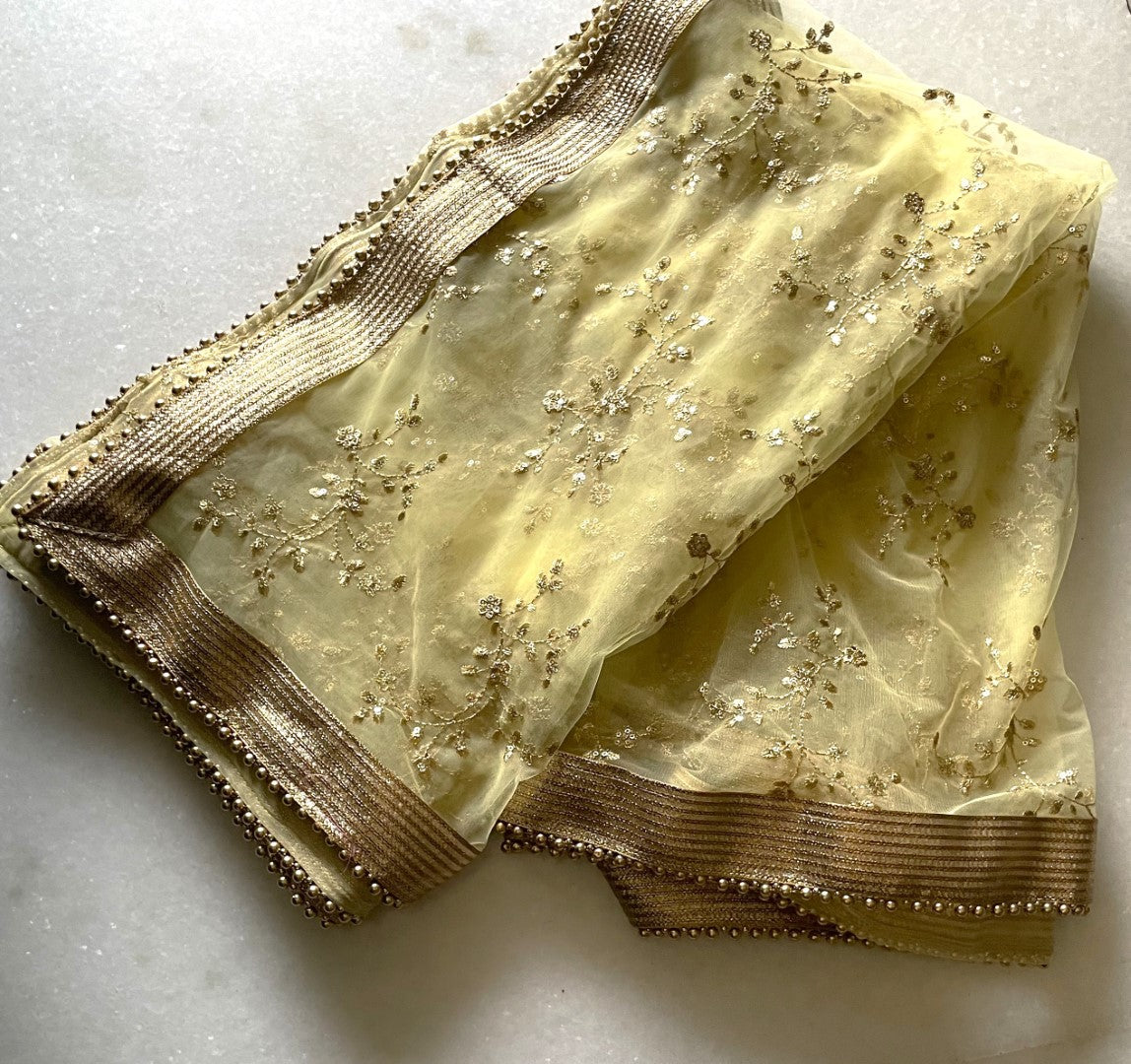 Pastel Yellow Net beaded border dupatta