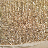 Golden Sequin embroidered on Imported Lycra net