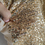 Golden Sequin embroidered on Imported Lycra net