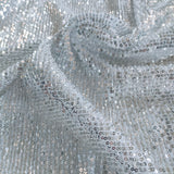 Silver white Sequin embroidered on Imported Lycra net
