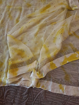 Yellow Chiffon saree with silver Zari border.