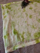 Green Chiffon saree with silver Zari border.