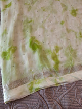 Green Chiffon saree with silver Zari border.