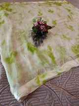 Green Chiffon saree with silver Zari border.