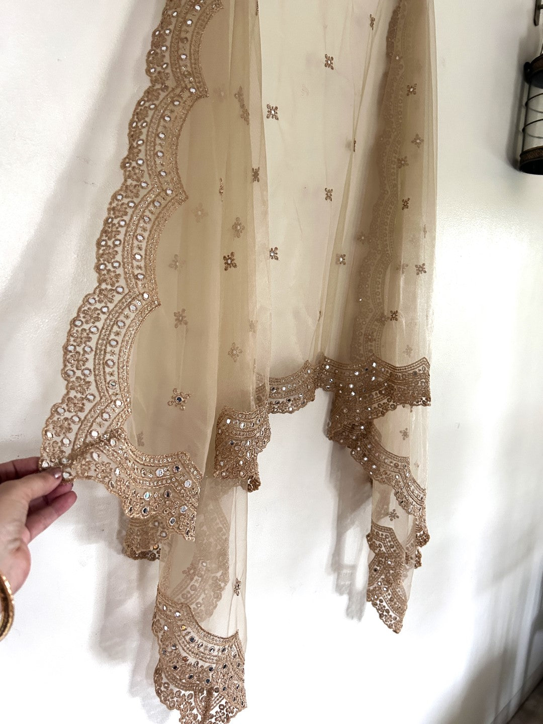 Gold net scallop border Dupatta