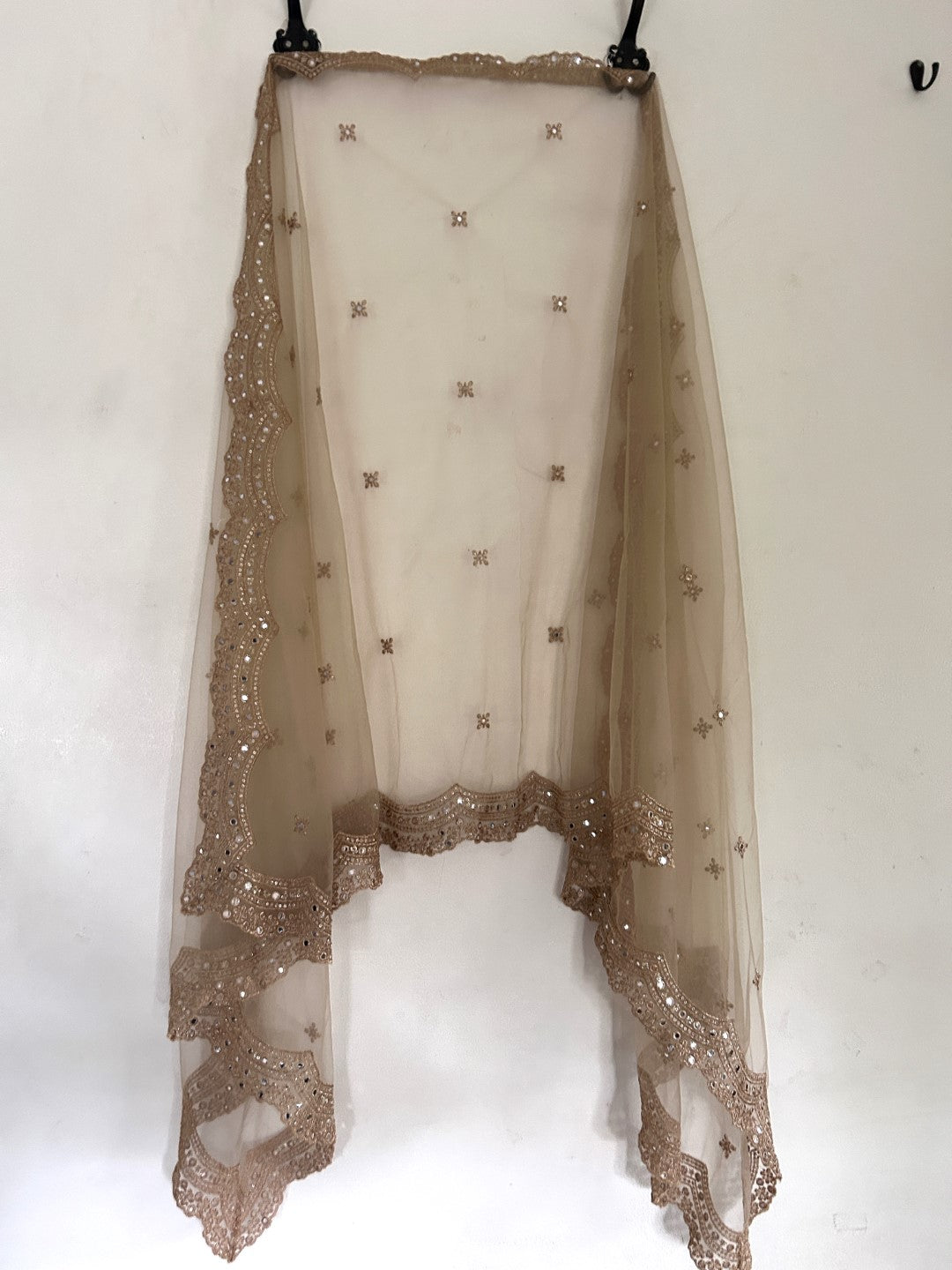 Gold net scallop border Dupatta