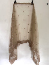 Gold net scallop border Dupatta