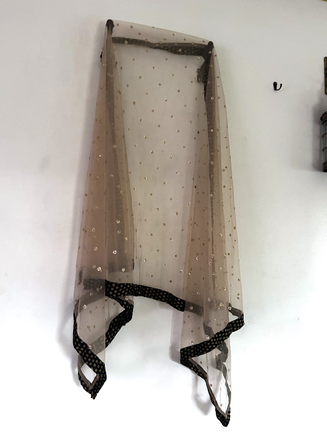 Golden Net dupatta with Black border
