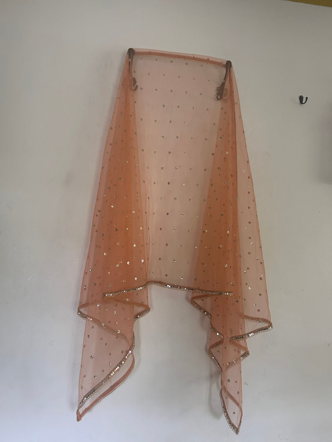 Peach Net dupatta with mirror border