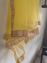 Yellow Net dupatta with multi color border