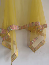 Yellow Net dupatta with multi color border